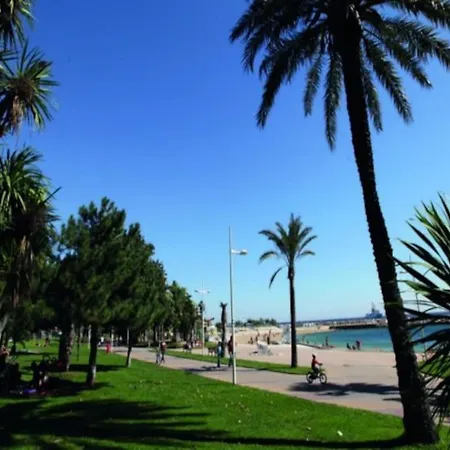 Mourillon A 80m Des Plages