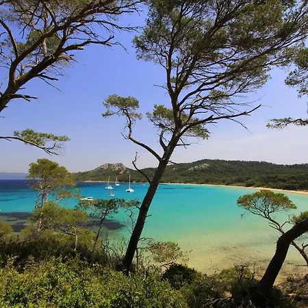 Apartment Mourillon A 80m Des Plages